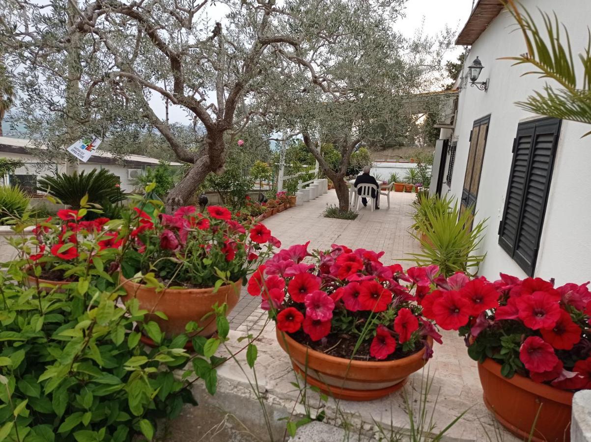 Il Corbezzolo Villa มาเตรา ภายนอก รูปภาพ
