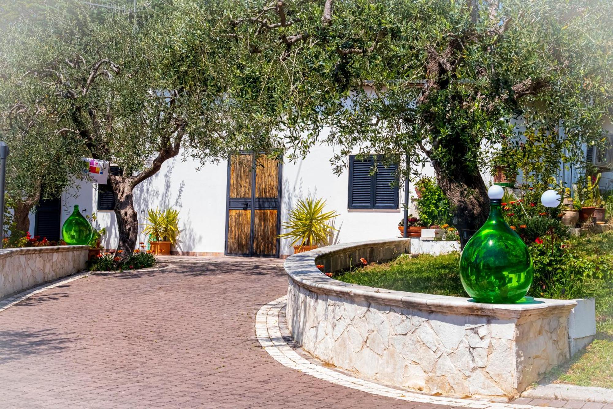 Il Corbezzolo Villa มาเตรา ภายนอก รูปภาพ